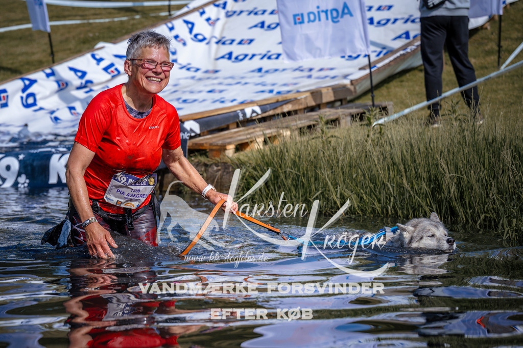 _ZZ991750821 | kk-dogfotos