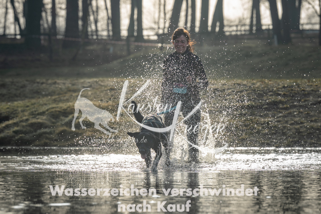 0900_ZZ99478 | kk-dogfotos