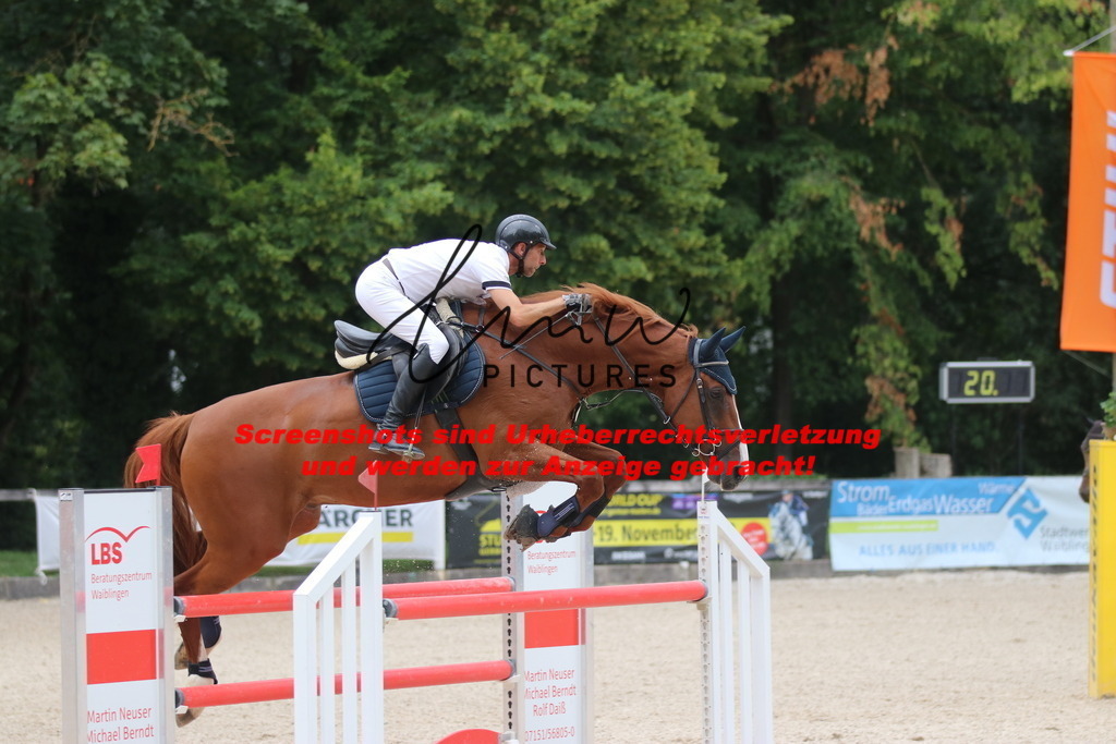 IMG_8071 | lmwpictures - Realisiert mit Pictrs.com