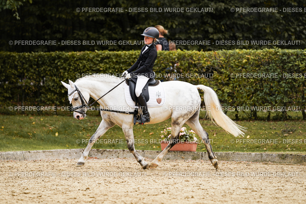 DSC09666 | Pferdegrafie