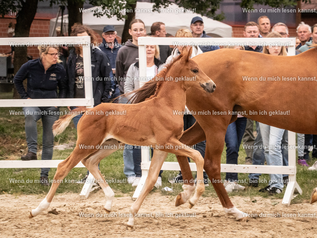 A10I4922 | photographylinaismer - Realisiert mit Pictrs.com