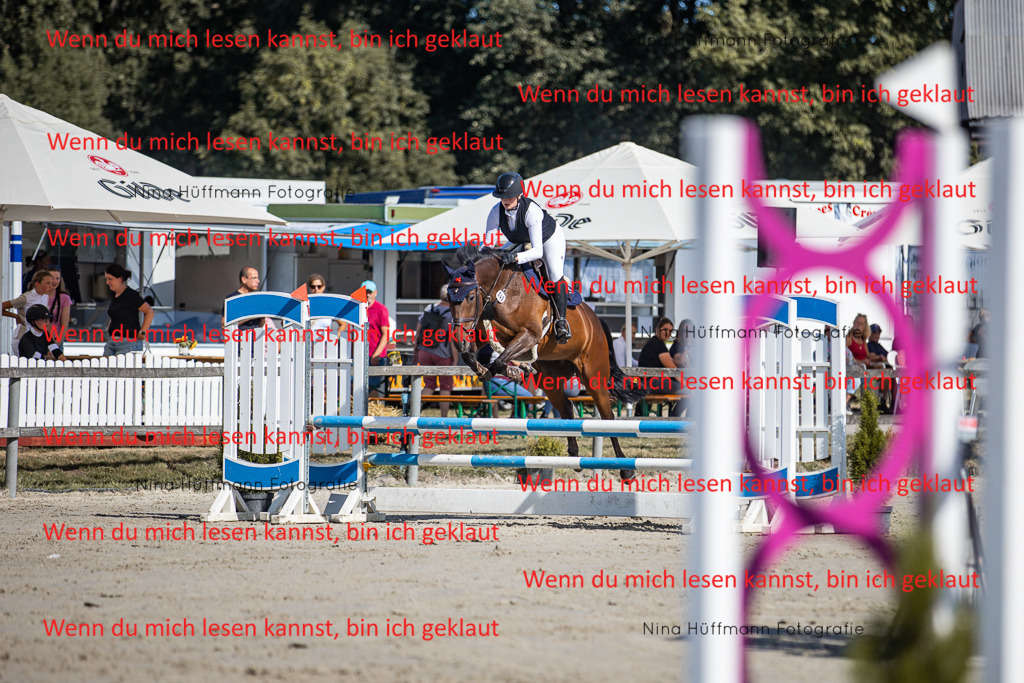 BK1A7111 | Turnierbilder Turnierfotos Nina Hüffmann Turnierfotografie Pferdefotografie Tierzeichnung Haustierzeichnung Pferdezeichnung Hundezeichnung Videograf  - Realisiert mit Pictrs.com