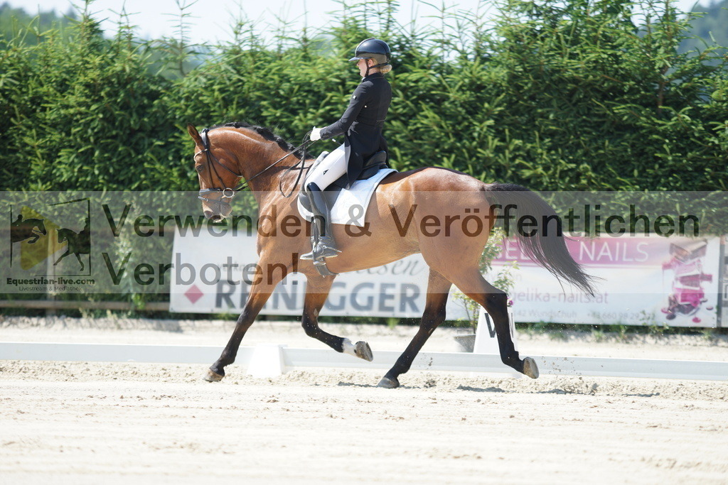 DSC02247 | equestrian-live-com