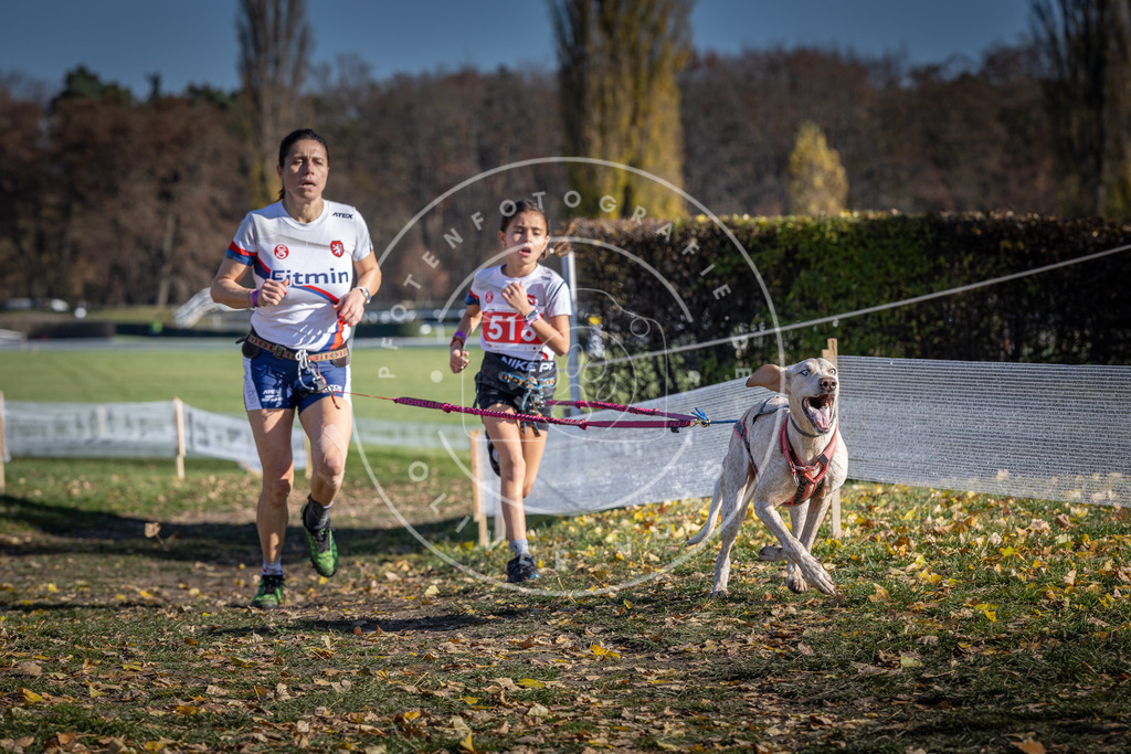 CaniXpix_DV3A8030 | Hundefotografie, Tierfotograf, Pfotenfotografie, Fotoshooting Hund, Hunde Portrait, Hundesport, Hundeportraits, Heideshooting, Hunde, Sportfotograf, Hundefotograf, Turnierhundsport, THS,  - Realisiert mit Pictrs.com