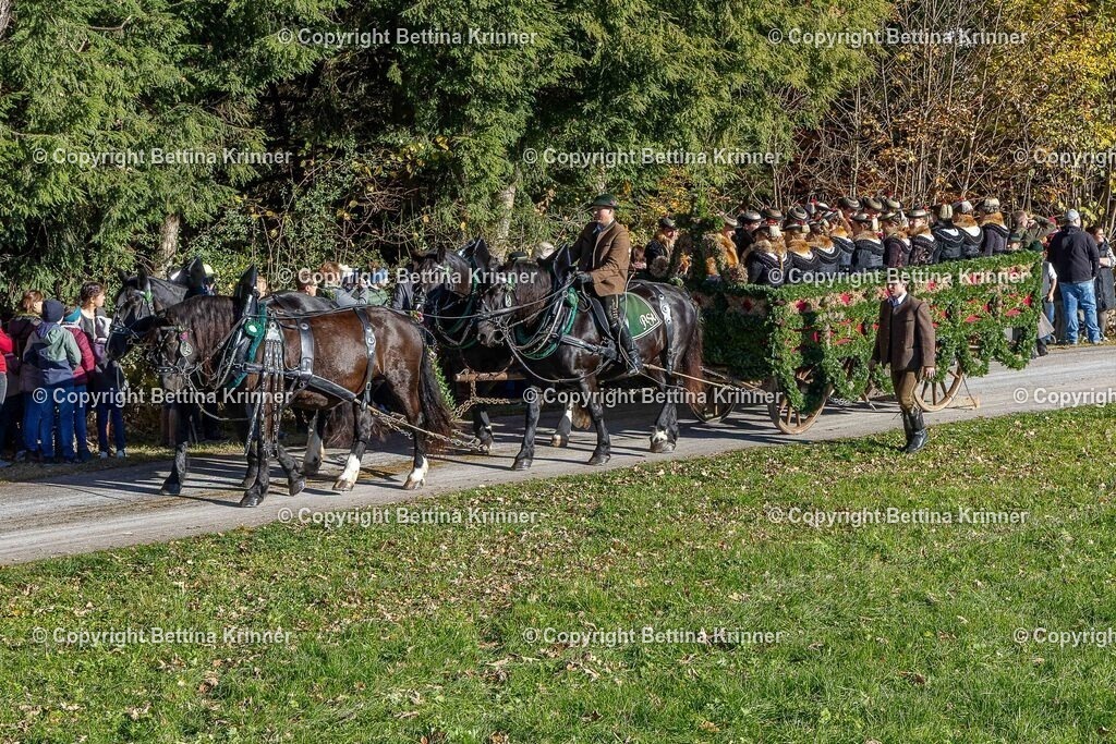 LBT25-720 | foto-bettina-krinner - Realisiert mit Pictrs.com