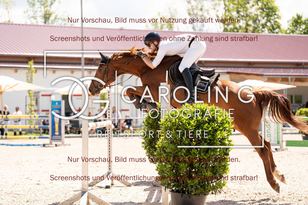 DSC09853 | Turnierfotografin Carolin Gieschke, Turnierfotografie Carolin G Fotografie, Turnierfotos Kirchheim/Teck, Esslingen, Stuttgart, Bodenseekreis
