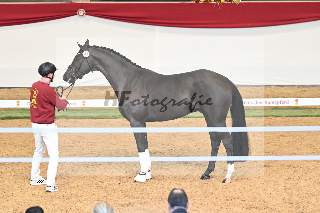 Kat.-Nr. 57 v. Feliciano_Vavrikova_3260597 | hf-fotografie - Realisiert mit Pictrs.com