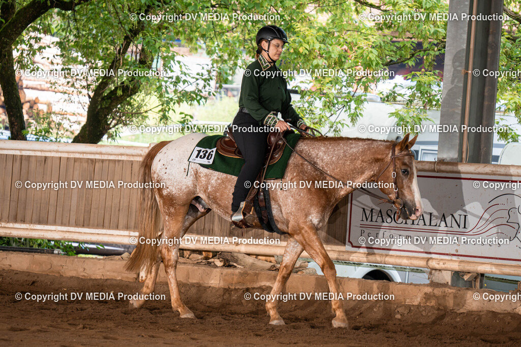 Erbach Tag 1-240 | dv-media-shop - Realisiert mit Pictrs.com