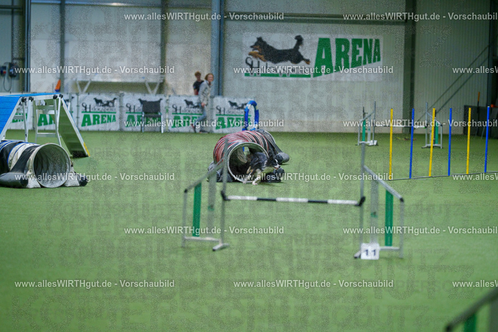 @allesWIRTHgut_Tierfotografie - www.allesWIRTHgut.de - 2604250817-7R506018 | Professionelle Tierfotografie in Mönchengladbach von Daniel Wirth (allesWIRTHgut). Liebevolle & natürliche Bilder von Hunden & Katzen für unvergessliche Erinnerungen.