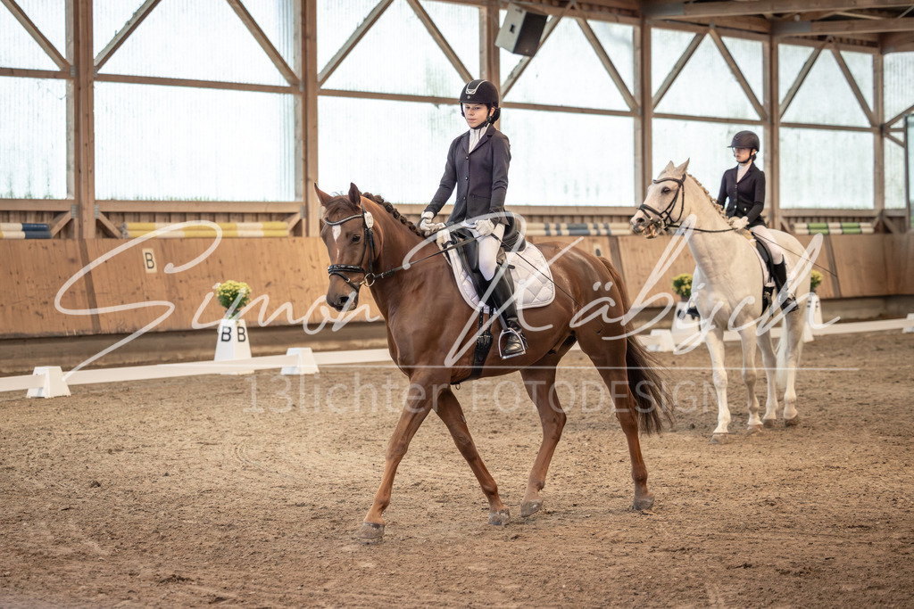 20251011-_3LI5776 | Tierfotografie Pferde, Hunde, Katzen, Haustiere.
Turnierfotografie Reitturniere, Reiten, Springreiten, Dressur in Hanau, dem Main-Kinzig-Kreis und dem Rhein-Main- Gebiet um Frankfurt