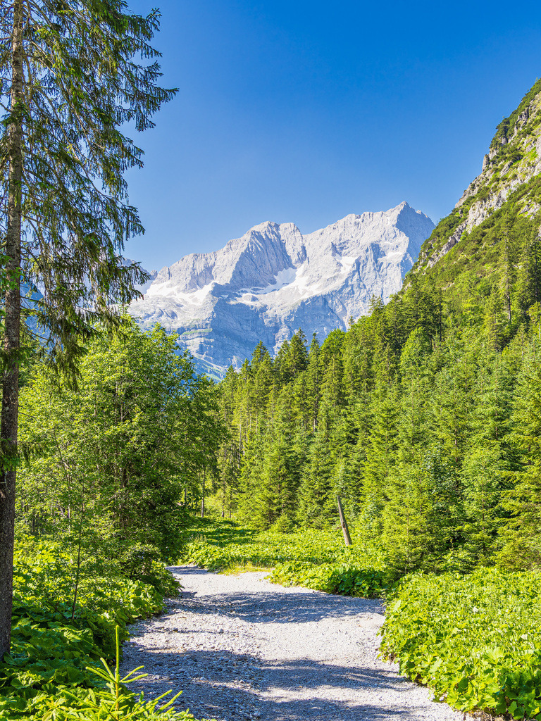 Landschaft  im Rißtal bei der Eng Alm in Österreich | Landschaft  im Rißtal bei der Eng Alm in Österreich.