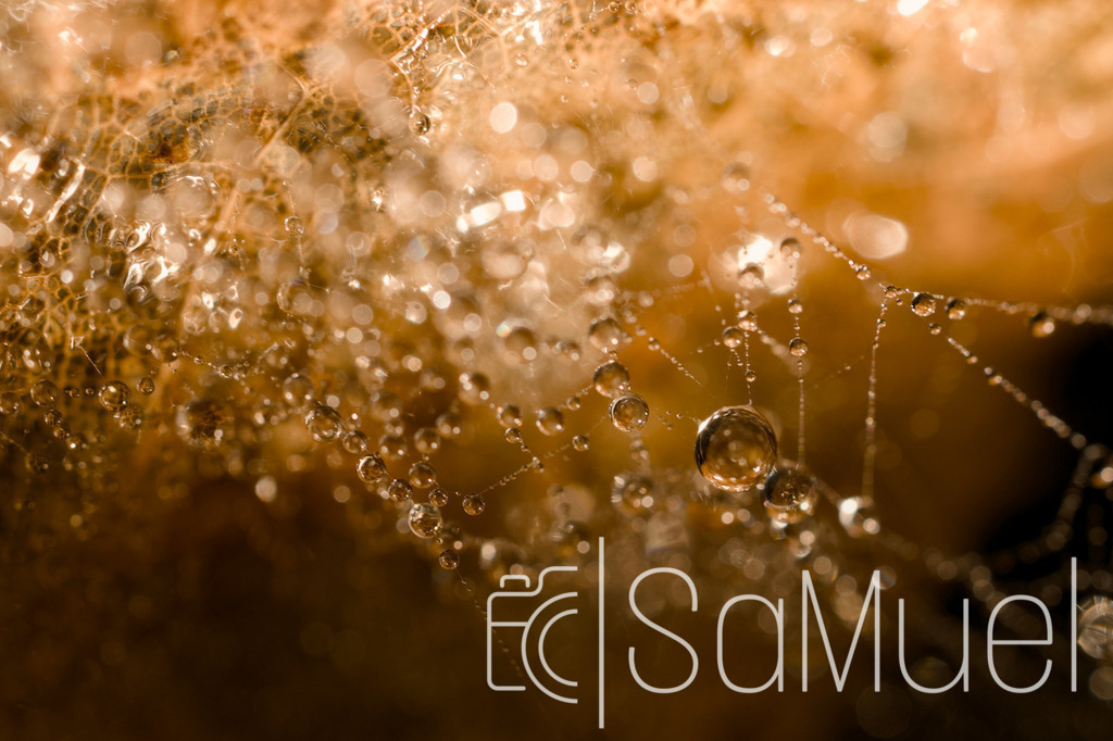 SML_2104 | Sa-Muel - Realisiert mit Pictrs.com