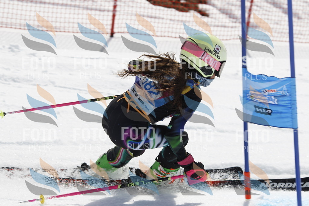 _U3G1774 | holidayphoto