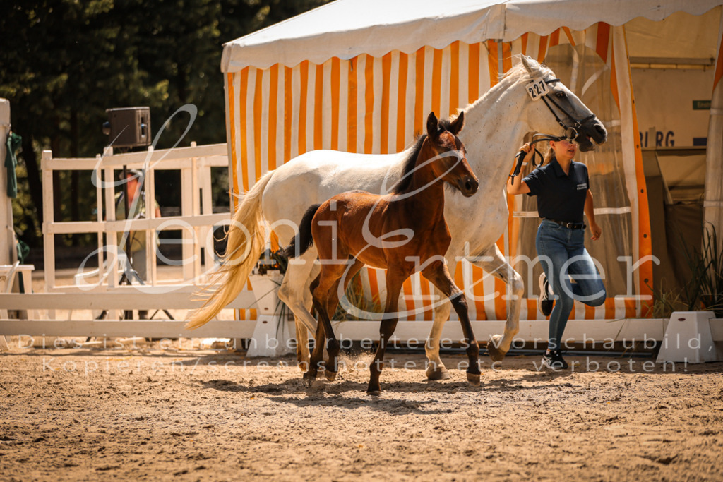 03.DoAB00045 | Leoni Ertmer Photography - Realisiert mit Pictrs.com