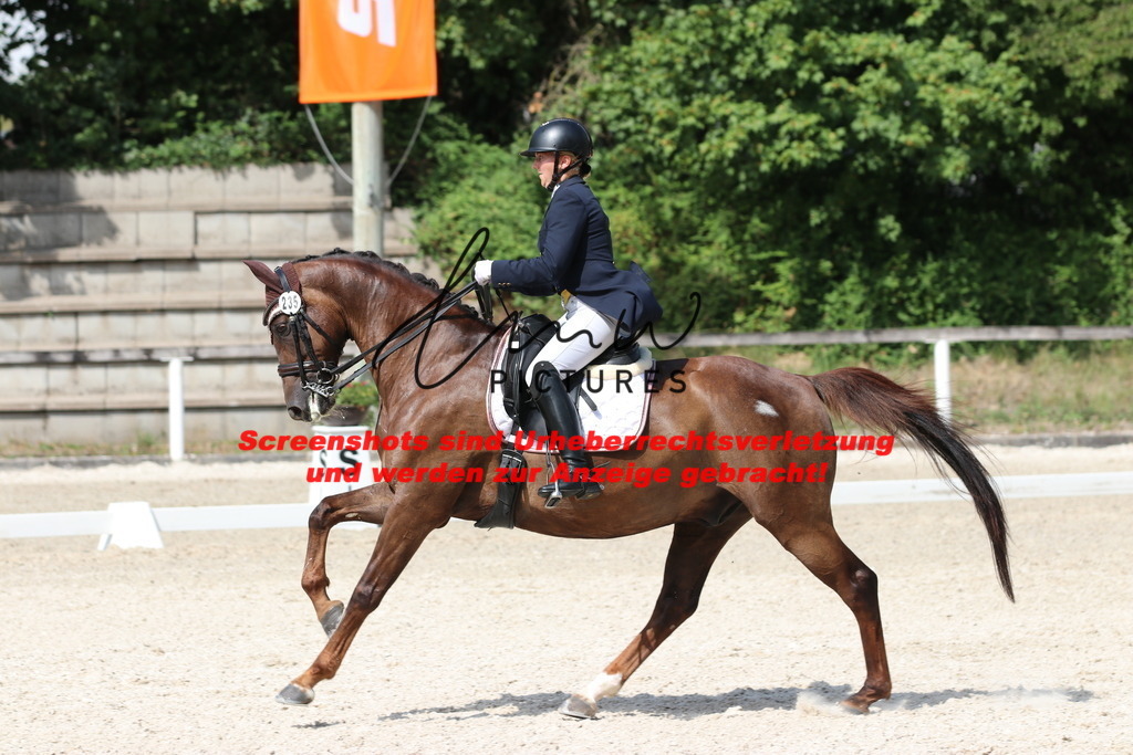 IMG_7009 | lmwpictures - Realisiert mit Pictrs.com