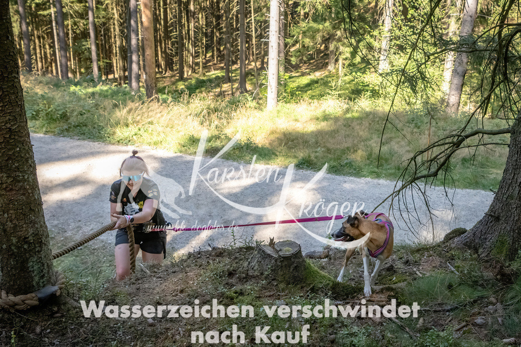 1217_ZZ93902 | kk-dogfotos