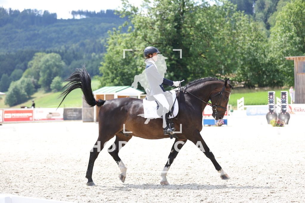 0P6A2049 | Willkommen bei Brunnmayr - Design & Fotografie – Ihrem Spezialisten für Reitturniere und Pferdeveranstaltungen in Oberösterreich, Salzburg und Bayern! Seit über 17 Jahren sind wir leidenschaftlich dabei.