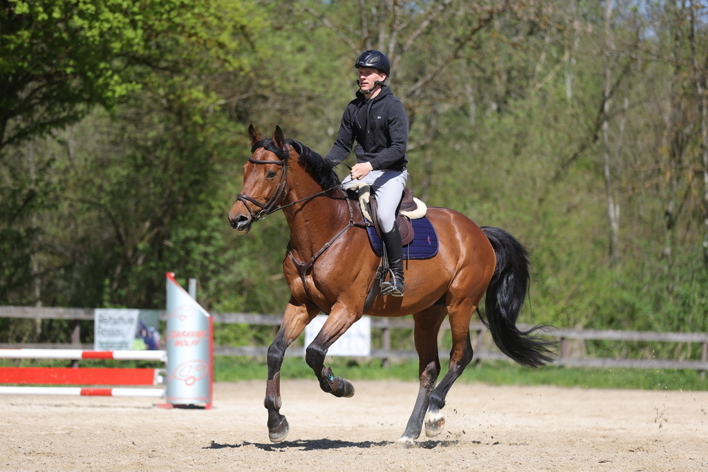 0P6A8137 | Willkommen bei Brunnmayr - Design & Fotografie – Ihrem Spezialisten für Reitturniere und Pferdeveranstaltungen in Oberösterreich, Salzburg und Bayern! Seit über 17 Jahren sind wir leidenschaftlich dabei.