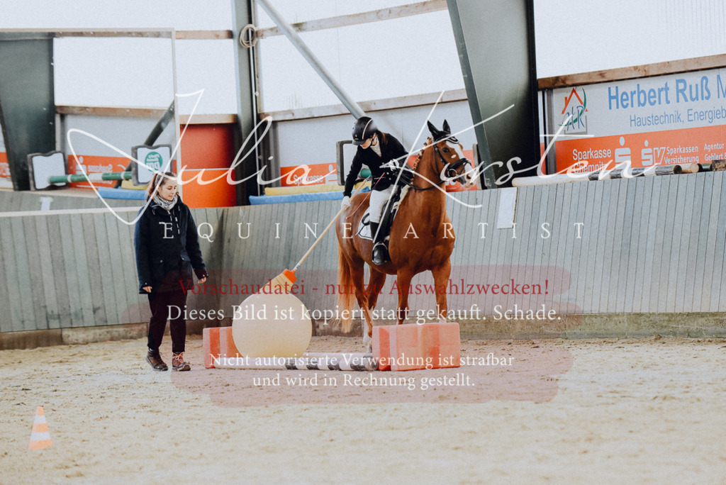 DSC_6768 | Pferde- und Turnierfotografie in Westsachsen. Pferdeportraits, Auftragszeichnungen und intuitive Kunst.