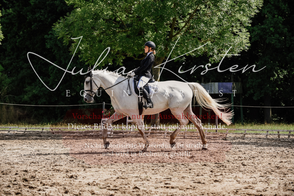 DSC_0372 | Pferde- und Turnierfotografie in Westsachsen. Pferdeportraits, Auftragszeichnungen und intuitive Kunst.