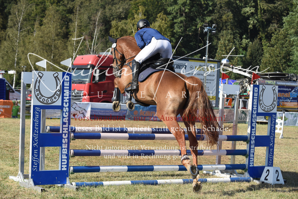 DSC_5330 | Pferde- und Turnierfotografie in Westsachsen. Pferdeportraits, Auftragszeichnungen und intuitive Kunst.