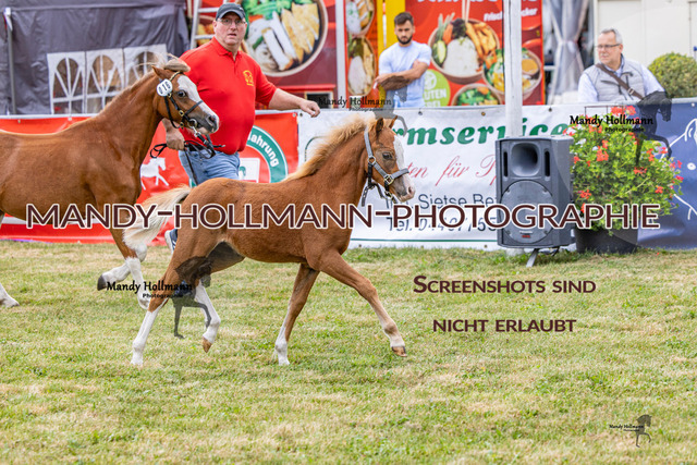 LTN 1 (639 von 918) | mandyhollmannphotographie