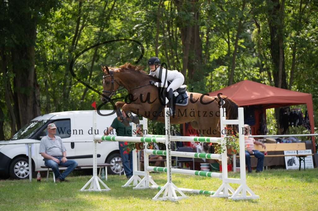 A7V07392 | Pferdefotograf