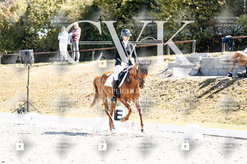 CK903606 | Turnierfotografie Pferdefotografie Trier Rheinland-Pfalz Pferdesport Reitsport Tierfotografie Sportfotografie Pferdevideo Pferdevideografie Equestrianvideography equestrianphotography  - Realisiert mit Pictrs.com