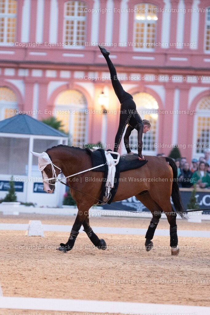 20230527_Voltigieren_NASPA_Flutlicht_0466 | equistock