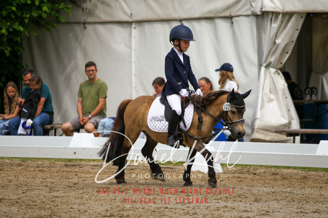 DKP47512 | Turnierfotos kaufen im Webshop von Daniel Kuhl Photography – entdecke professionelle Reitsportfotos aus Turnieren & Events. Hochwertige Turnierbilder online bestellen & sichern. Jetzt Fotos von Reitsportturnieren kaufen!