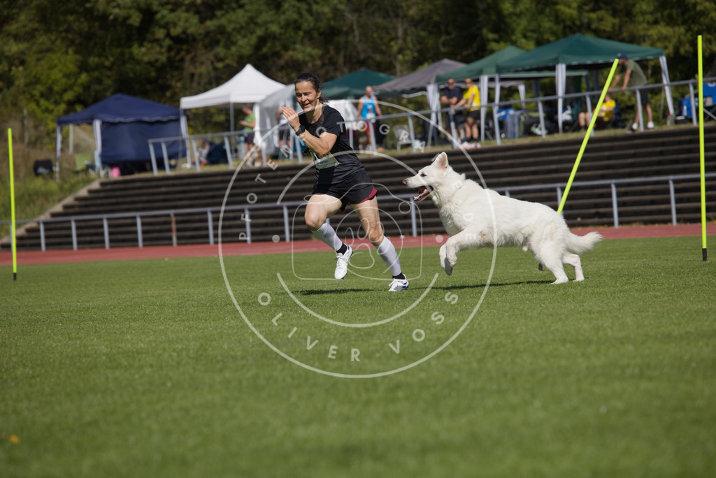 0L8A7207 | Hundefotografie, Tierfotograf, Pfotenfotografie, Fotoshooting Hund, Hunde Portrait, Hundesport, Hundeportraits, Heideshooting, Hunde, Sportfotograf, Hundefotograf, Turnierhundsport, THS,  - Realisiert mit Pictrs.com