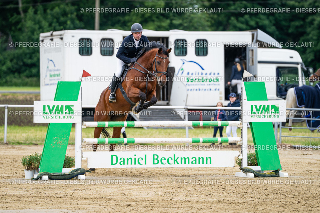 DSC05183 | Pferdegrafie