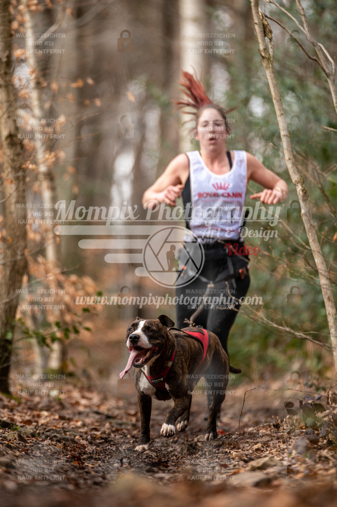 SPA_2023_DIM_CCK-114 | PayLife