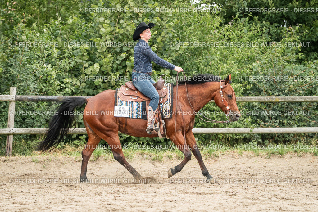 DSC04477 | Pferdegrafie