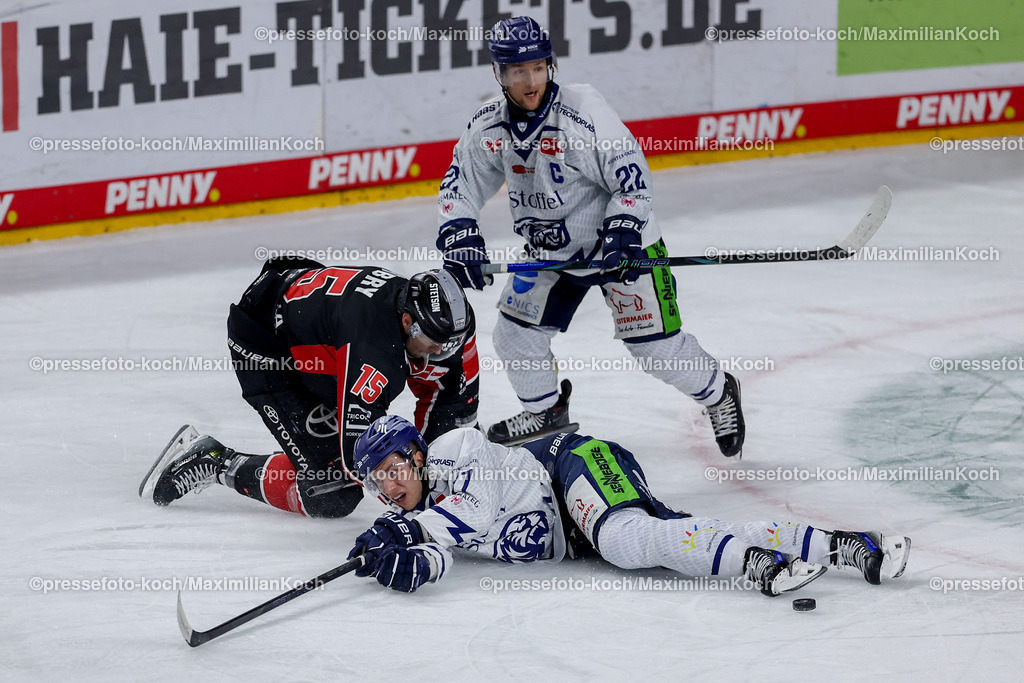 KEC22122401060 | 22.12.2024, Eishockey, DEL, Kölner Haie - Straubing Tigers, Spieltag 29, Lanxess-Arena Köln: Foulspiel Louis-Marc Aubry (Kölner Haie #15) Stockschlag gegen Nelson Nogier (Straubing Tigers #77)
