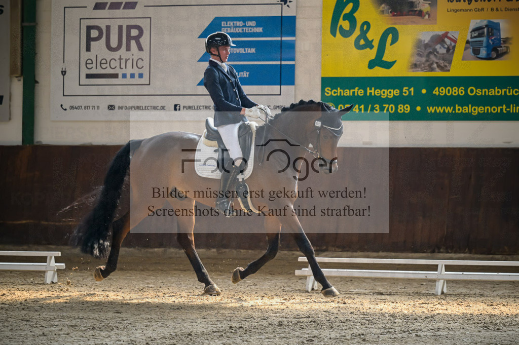 Reitturnier Voxtrup | Entdecke hochwertige Reitturnierfotos von Foto Oger. Professionell, emotional und authentisch – jetzt Lieblingsmomente im Shop bestellen.Deutschlandweite Turnierfotografie. - Realisiert mit Pictrs.com
