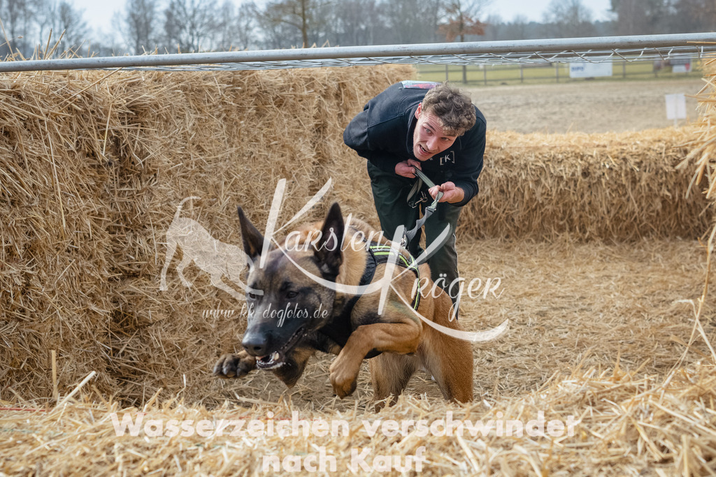 1048_ZZ99517-Bearbeitet | kk-dogfotos