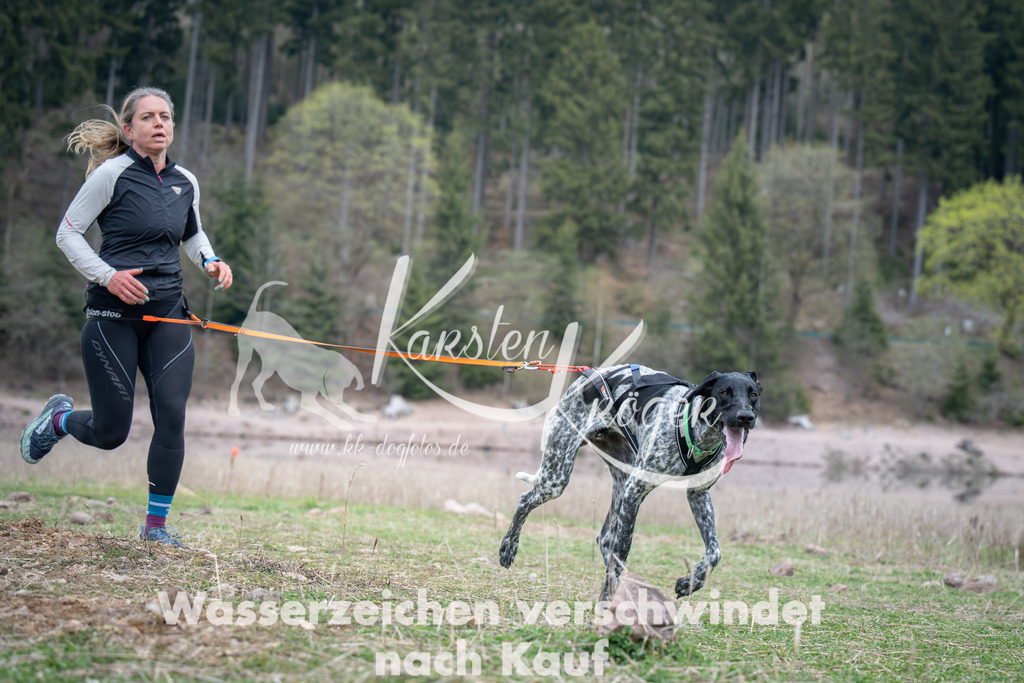 1810_ZZ94416 | kk-dogfotos