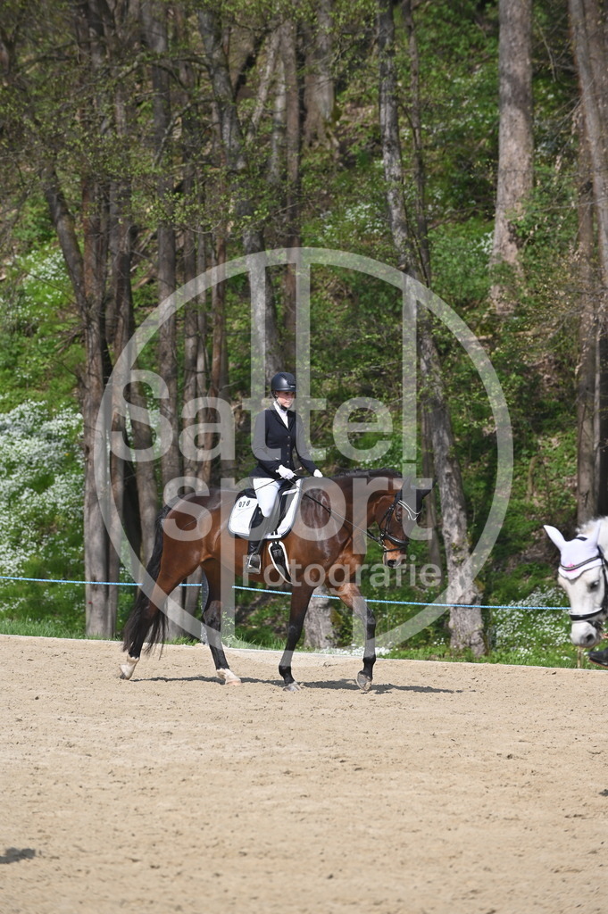 DSC_1032 | sattelsport - Realisiert mit Pictrs.com