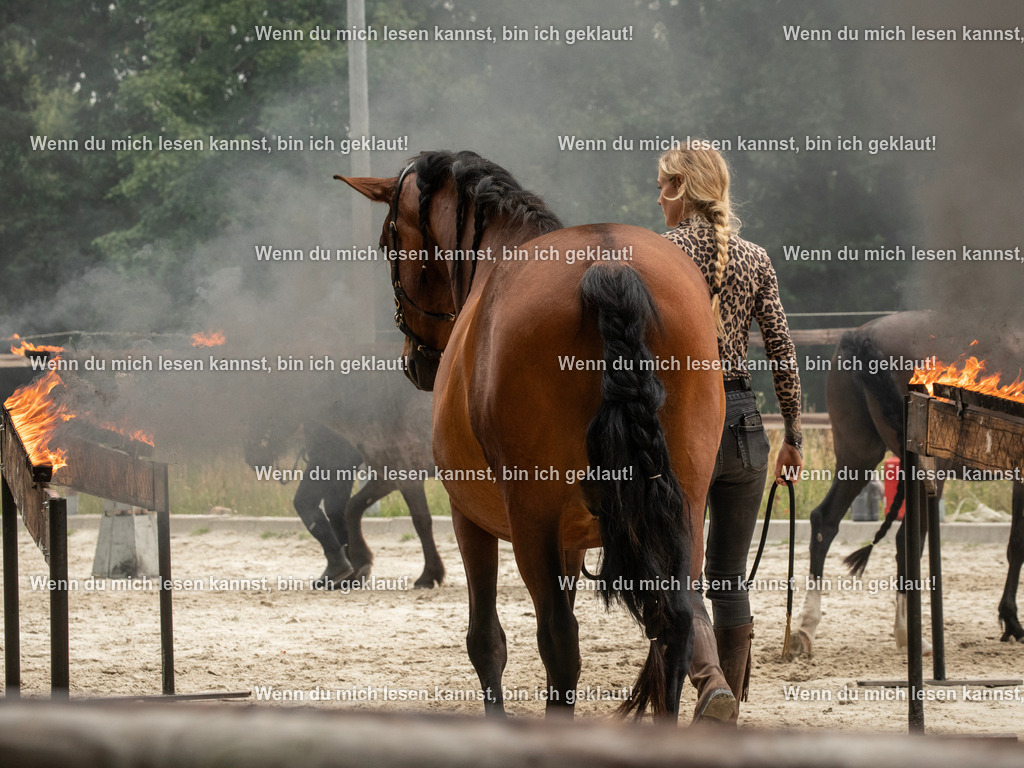 598A7007 | photographylinaismer - Realisiert mit Pictrs.com