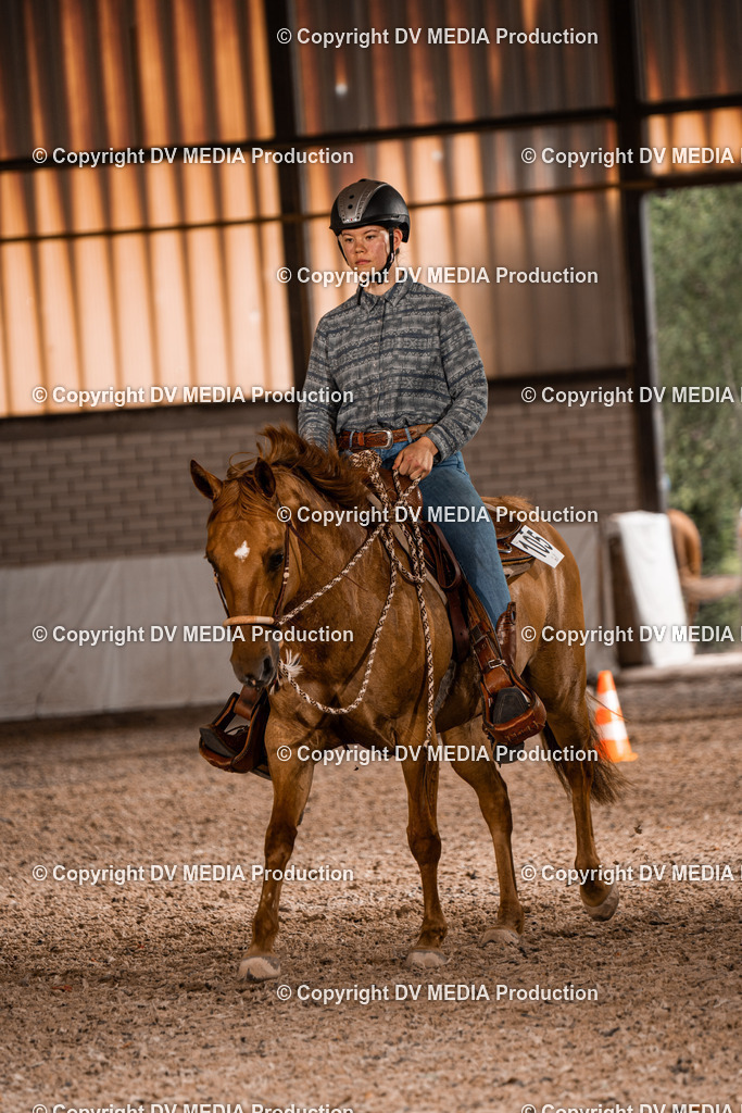 ZH200363 | dv-media-shop - Realisiert mit Pictrs.com