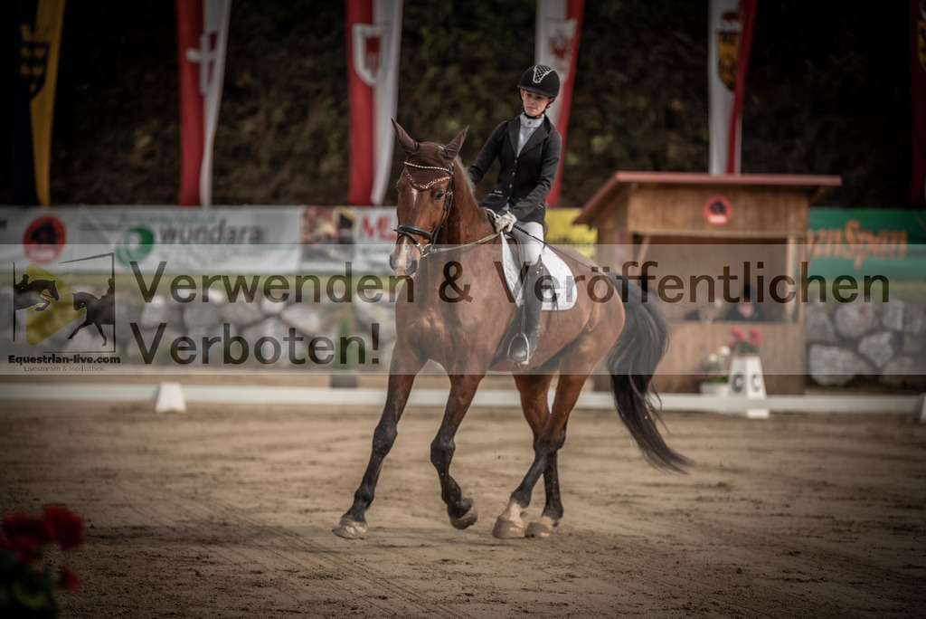 DSC_8263 | equestrian-live-com