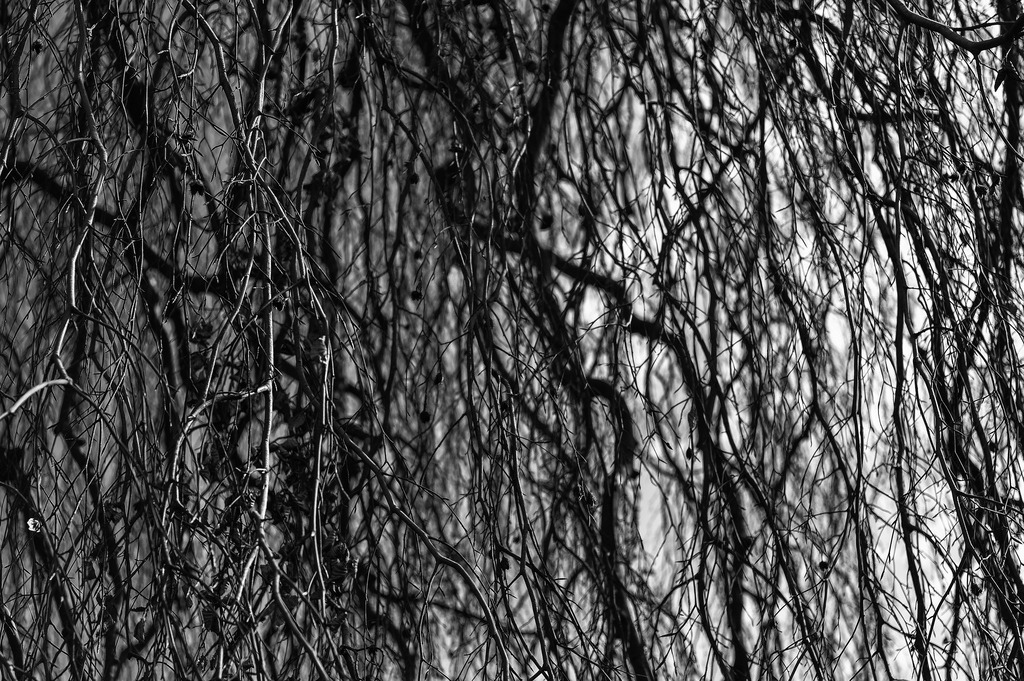 2025_03_23_HH-BLANKENSE+ELBE_MCP6895 sw | Hochwertig gedruckte Fotografien für die Wand, als Kalender und zum Verschenken. Hamburg & Norddeutschland und überall wo ich mit der Kamera unterwegs war.