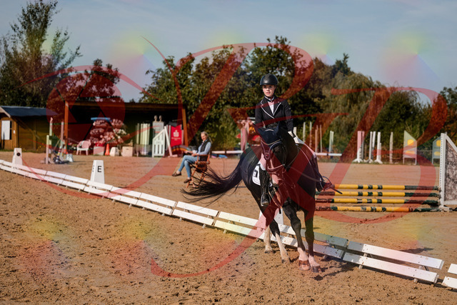 2026_10_03_Siefer-Hof_121714_Z63_41156371 | Professionelle Reitsport-, Turnier- und Eventfotografie von Robert Broda. Galerien mit ausgewählten und bearbeiteten Bildern direkt online ansehen und bestellen.