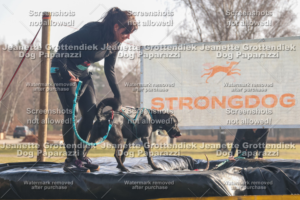 Dog Paparazzi - SD North 0326 900930-230 | Dog Paparazzi Jeanette Grottendiek Fotografie & Videografie - Realisiert mit Pictrs.com
