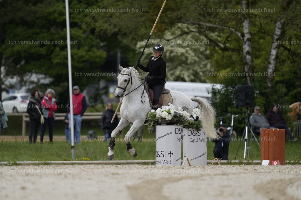 PI26_SP_Stoibphotography_A746965.JPG | working equitationturnier fotograf videograf stoibphotography marixx film working equitation deutschland reitsport turnierfotografie eventfotografie equestrian events