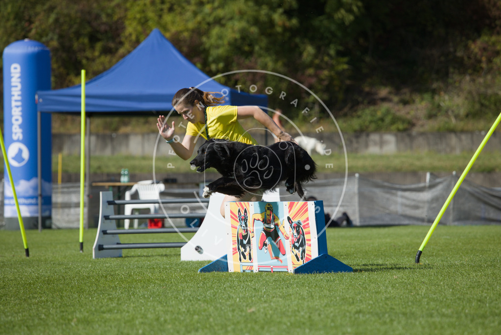 0L8A8037 | Hundefotografie, Tierfotograf, Pfotenfotografie, Fotoshooting Hund, Hunde Portrait, Hundesport, Hundeportraits, Heideshooting, Hunde, Sportfotograf, Hundefotograf, Turnierhundsport, THS,  - Realisiert mit Pictrs.com