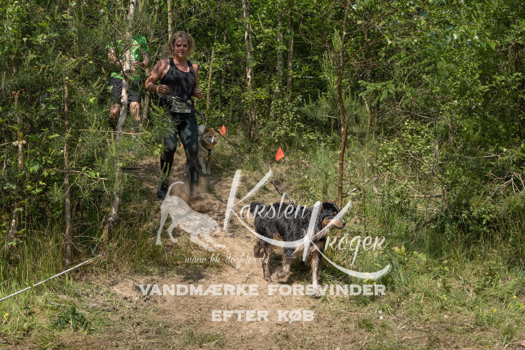 1102DKK991848 | kk-dogfotos