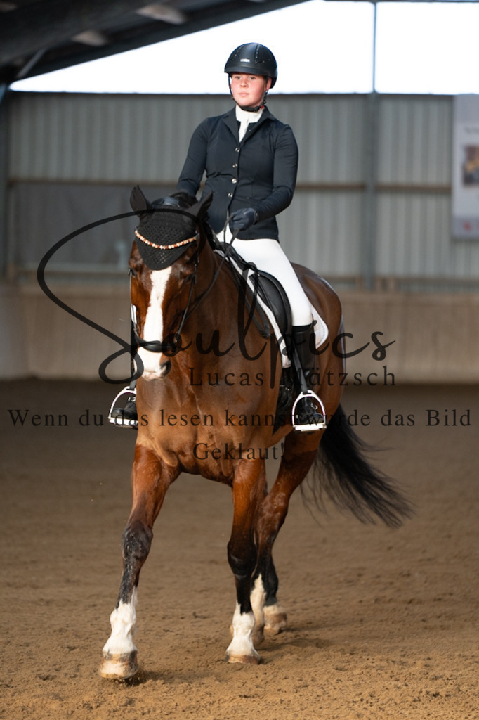 A7V05727 | Pferdefotograf