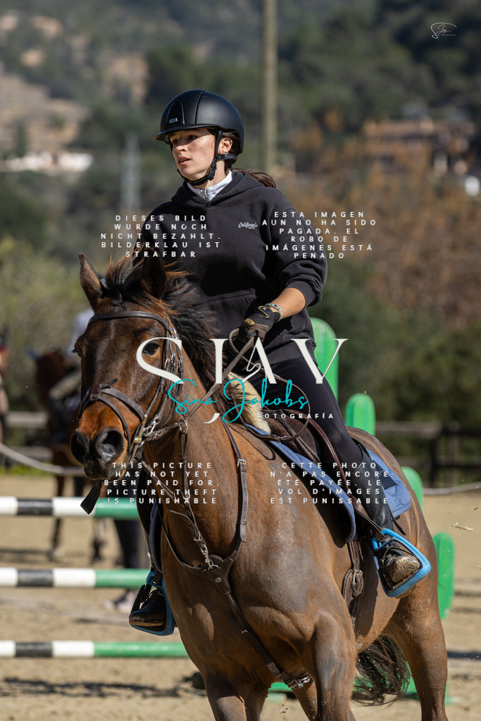 IMG_6459 | s-jay-photography - Realisiert mit Pictrs.com